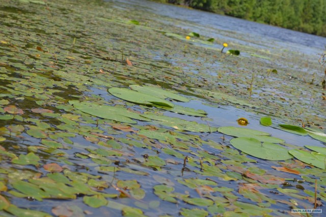 Отдых по-русски.