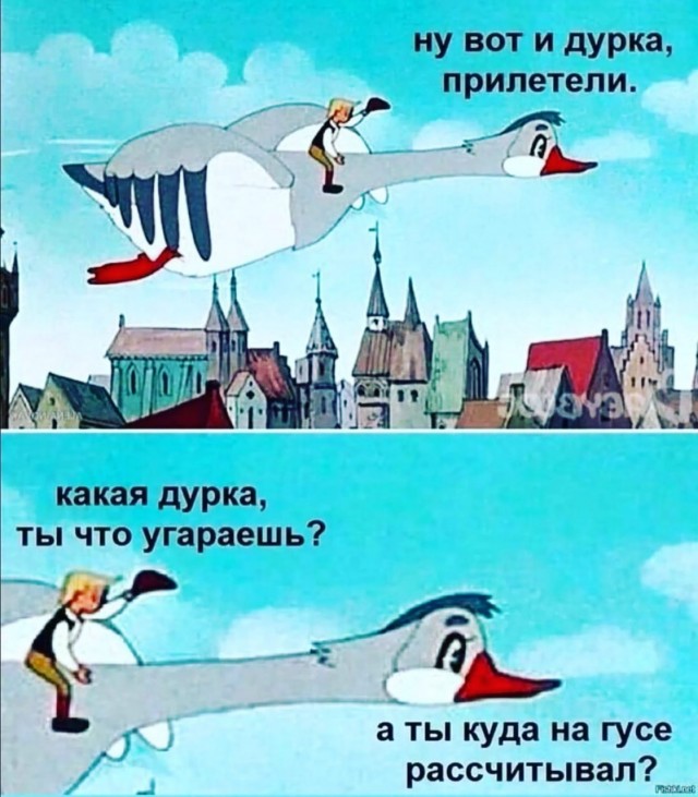 Пандемия съехавших крыш - разновидности болезни. Россия и мир. Часть 39.