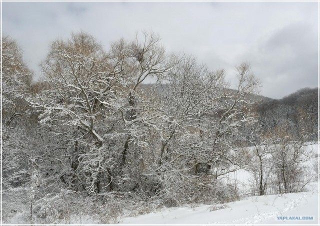 Крым. Терновка. Зимние дороги.