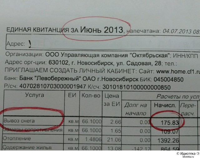 Погода в Новосибирске сегодня