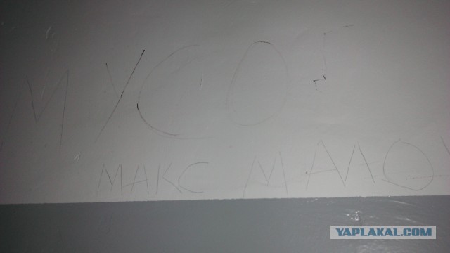 Сходил за хлебушком