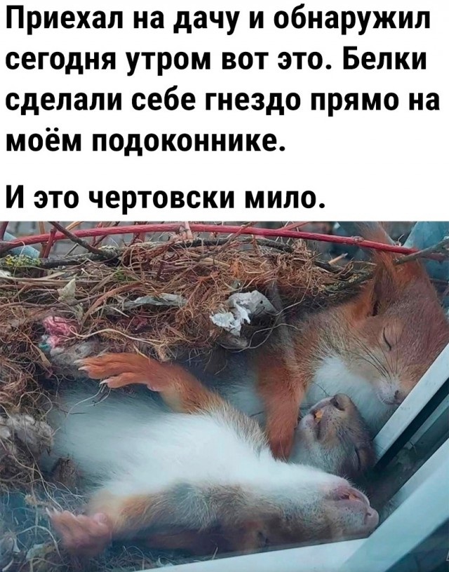 Так себе картинки 17.06.23
