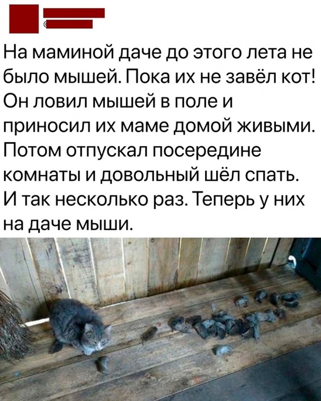 Так себе картинки 09.10.23