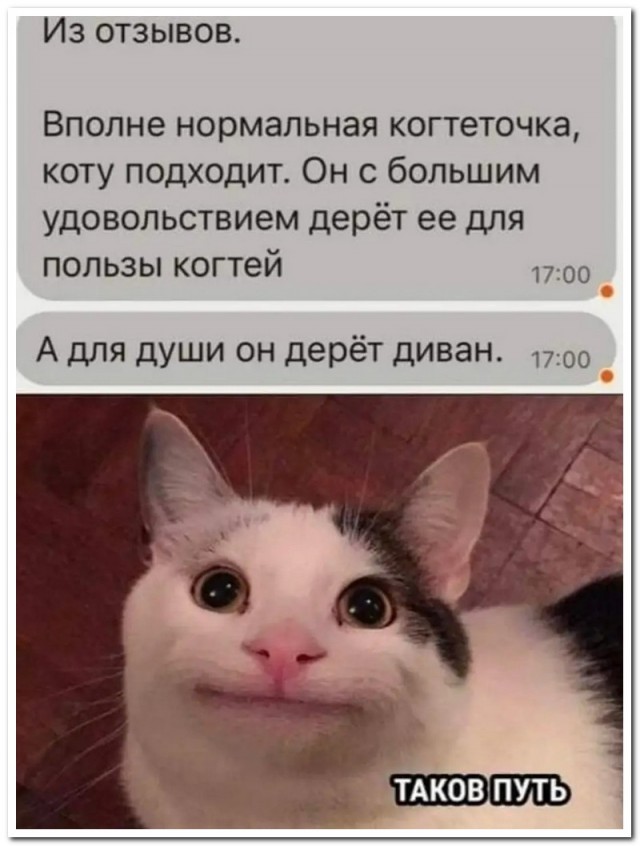 Забавные комментарии из социальных сетей (30.10.23)