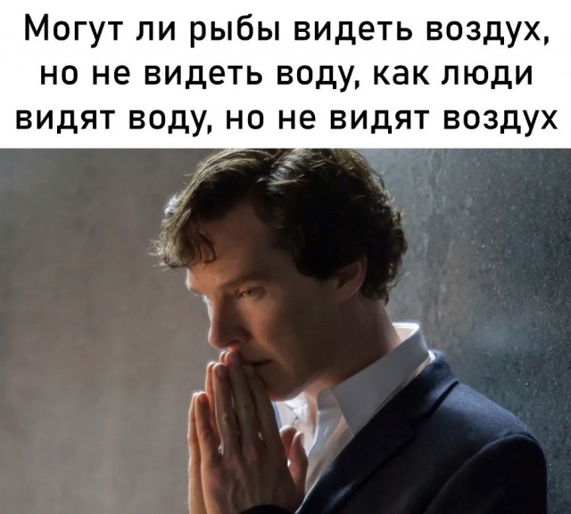 Весёлый полтишок 18.01.24