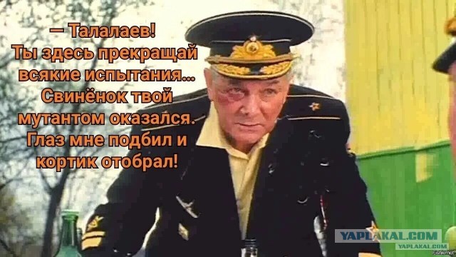 Усы и хвост - Квадробер выходит из леса