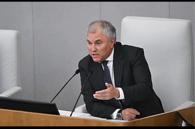 Володин напомнил о лишении мандатов депутатам которые против закона о «пропаганде чайлдфри»