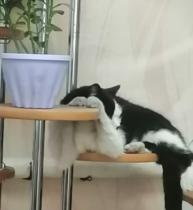 Это моё место...