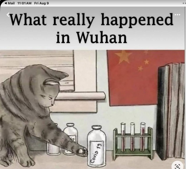 Что на самом деле произошло в Ухане