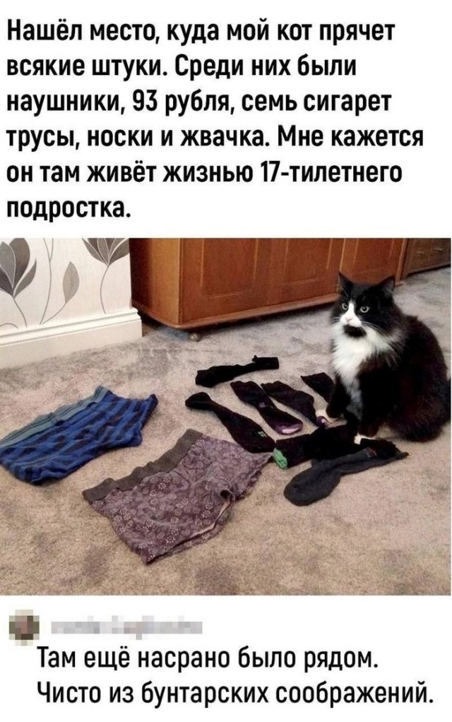 Так себе картинки 14.03.25