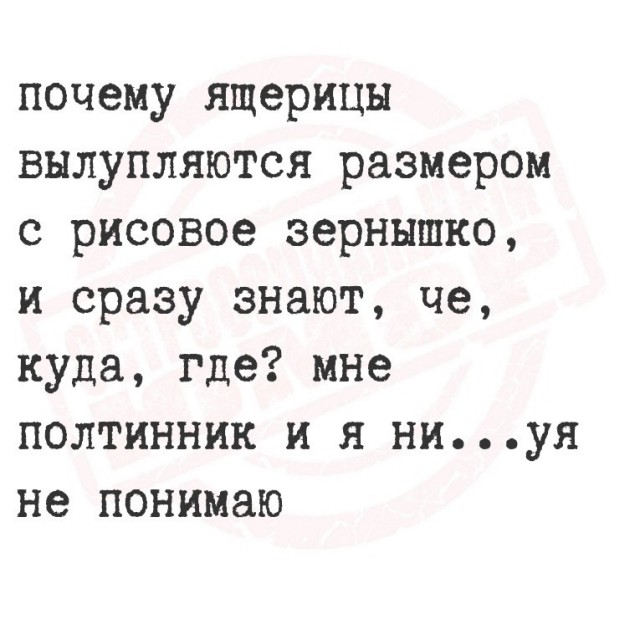 Веселые картинки