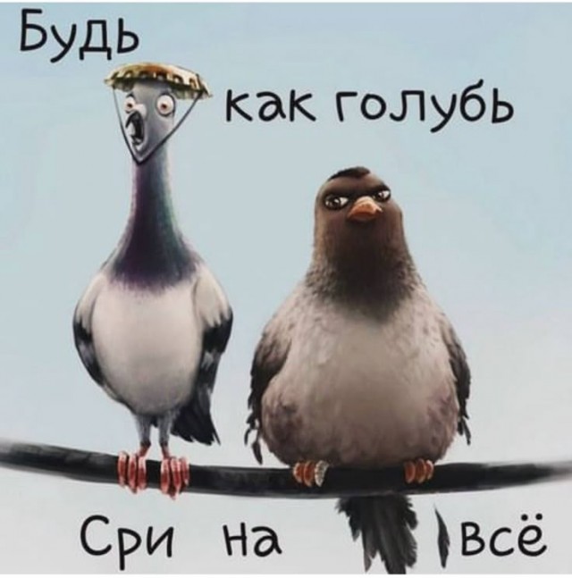 Прикольные и просто красивые картинки 23.05.2025
