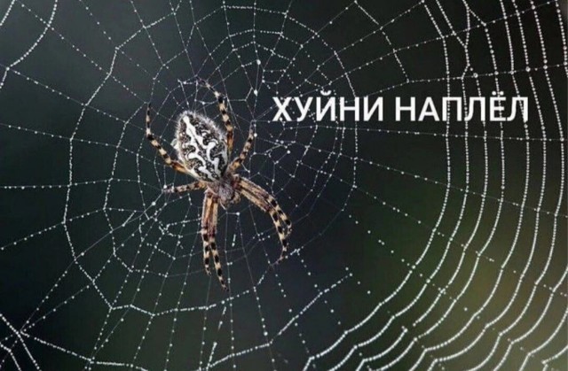 Последняя маленькая пятница августа.