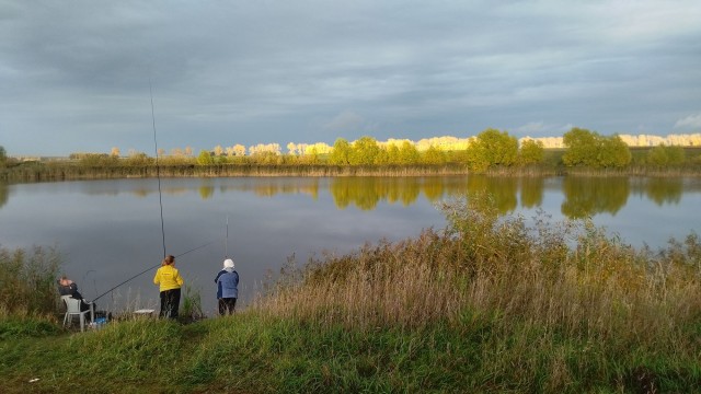 В лесу
