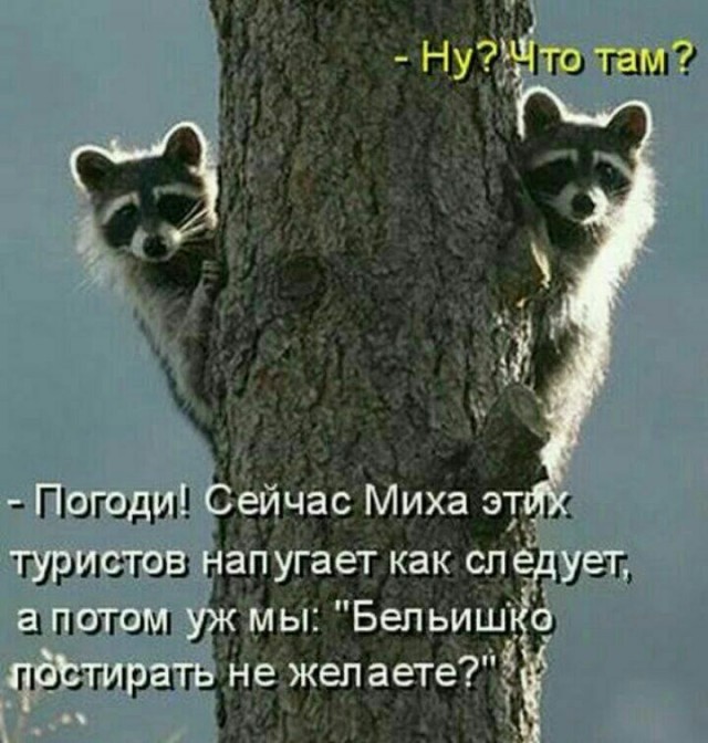 Смешнявых и не очень картинков пост