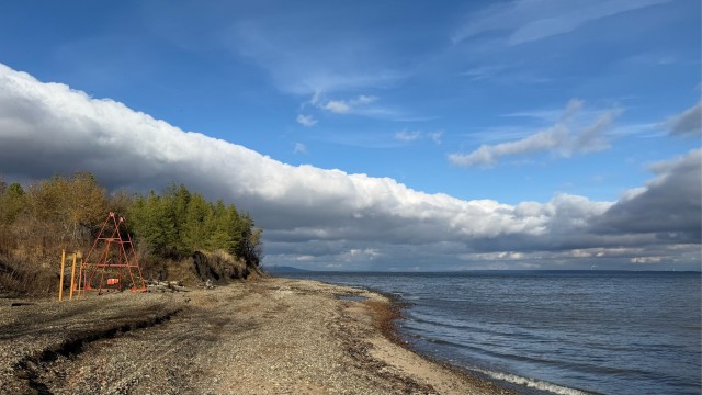 Родные просторы