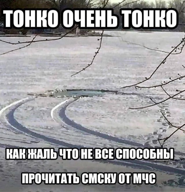 Субботние картинки