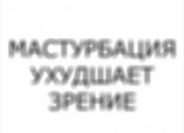 Сова из Московского зоопарка слилась с окружением