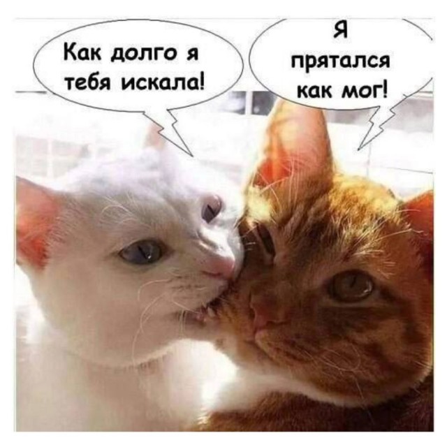 Воскресные картинки