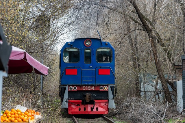 А что это за фрукты в весенней  Самаре ?