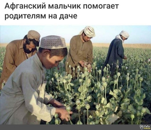Картинки для деградации 277 (разной степени свежести)