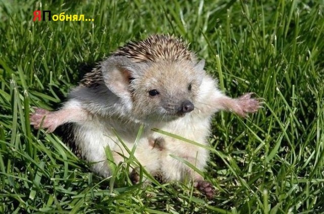 Обнимите меня кому не лень.