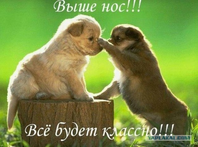 Пятница без политики!