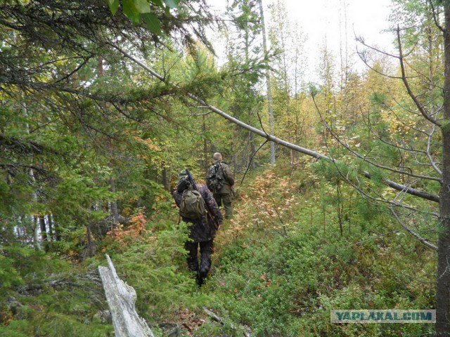 Поездка на Ахтубу.