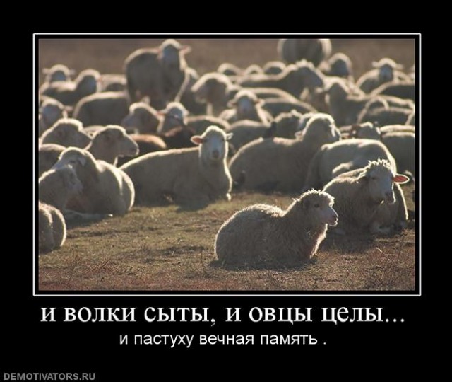 Семь одиноких овечек