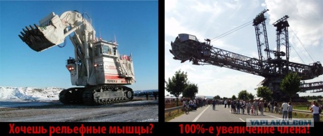 Экскаваторы