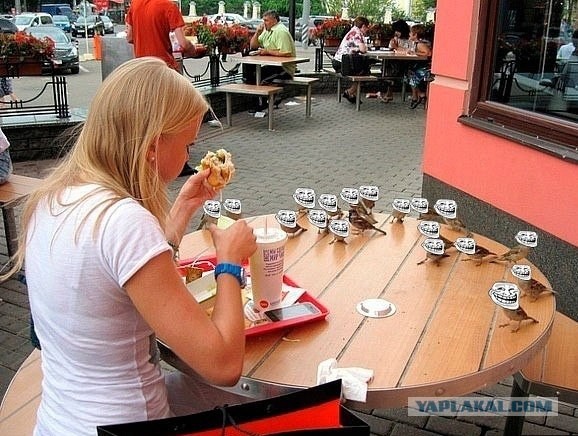 Девушка и "трололошки"