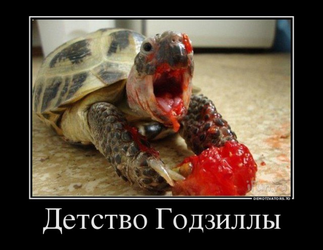 Весёлые картинки