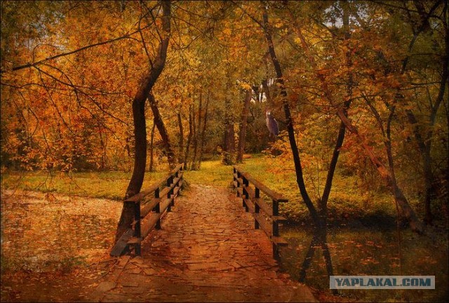 Фотожаба: Злой Кот