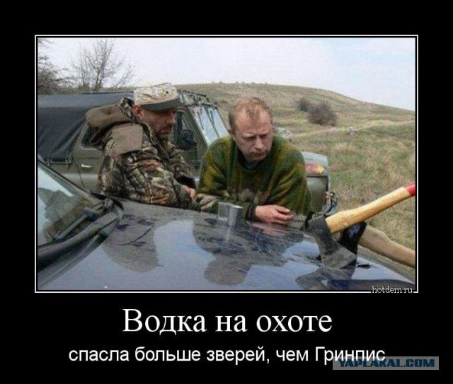 Когда рыба не клюет