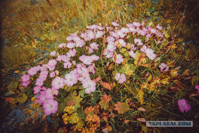 К заповедным озерам и долинам Архыза