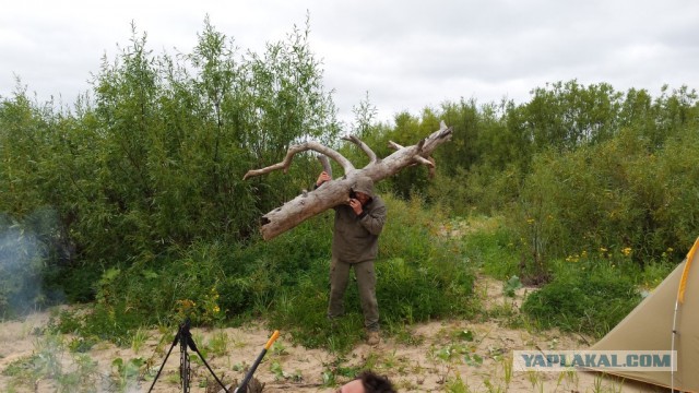 Молодые девки и сорокалетние старперы