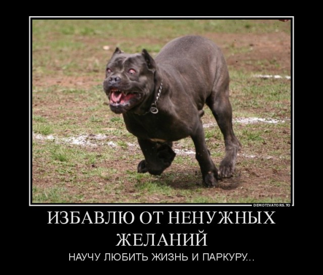 Знакомство девушки и парня в интернете