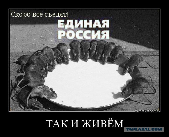 Отнимать права за долги начнут с 15 января!