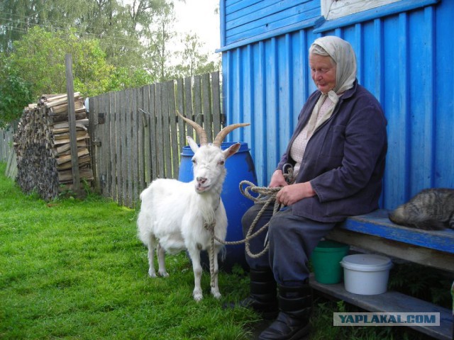 Подборка "тёплых, уютных, домашних" фотографий. Часть 2