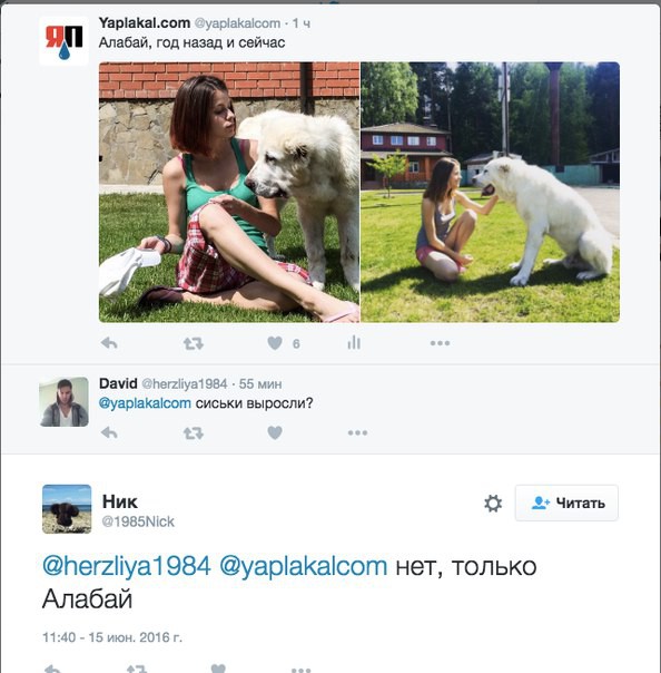 Смешные комментарии из социальных сетей 17.06.2016