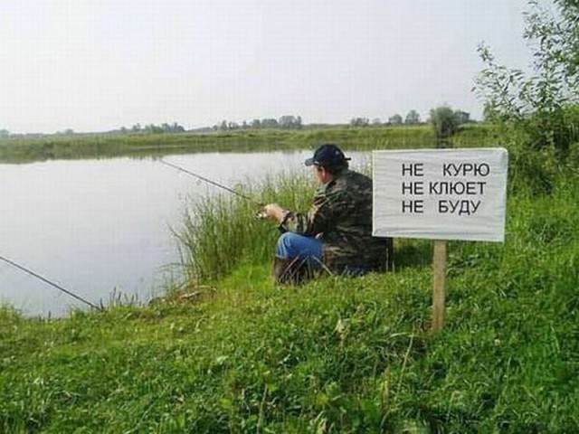 Подборка картинок