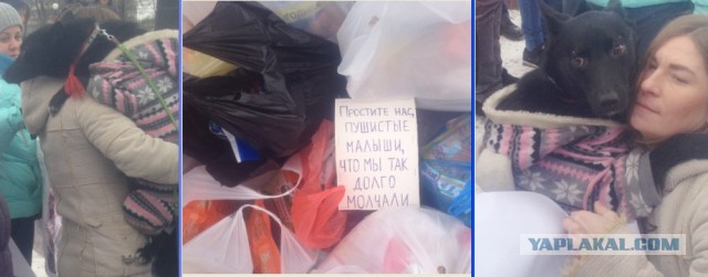 Живодерки из Хабаровска