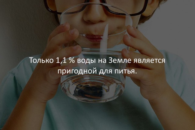 40 интересных фактов в картинках.