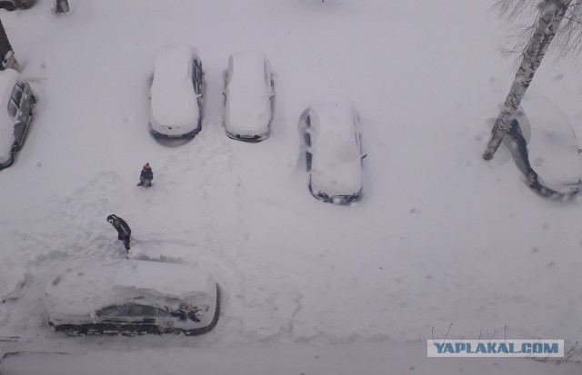 На дорогах Кирова случился снежный апокалипсис