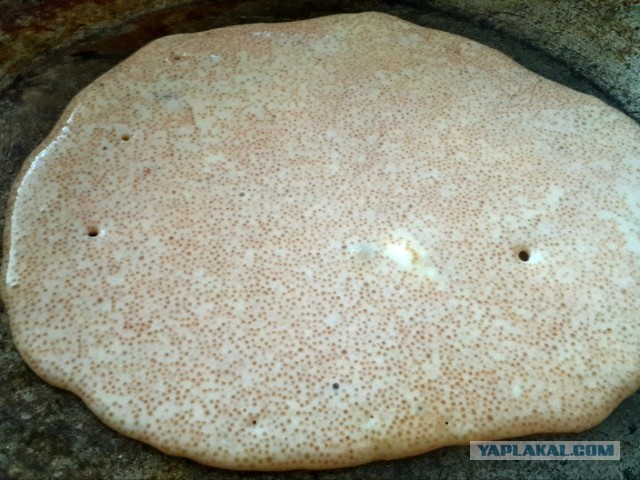 ЯПМасленица-2017