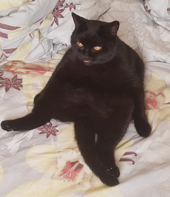 Paзнoвиднocти тьмы