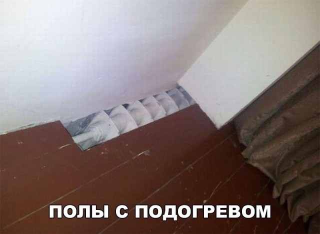 Забавные и познавательные фотографии, поднимающие настроение