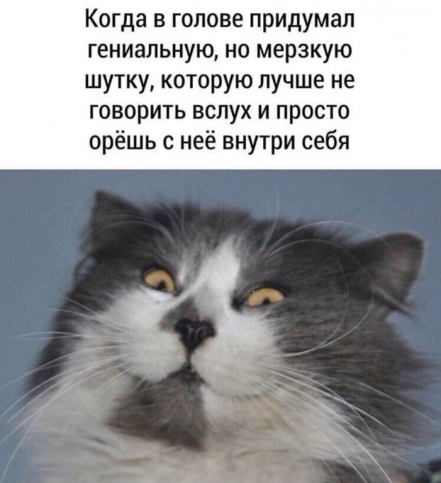 Юмор на любителя