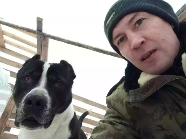 В Карелии пьяный мужик пришел в местный приют для животных и начал натравливать свою бойцовую собаку на привязанных цепью собак