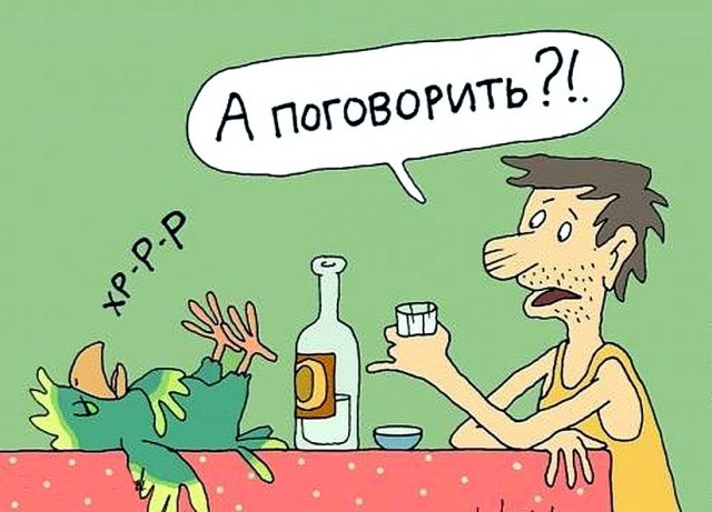 ЯПокатуры от tubdoc62